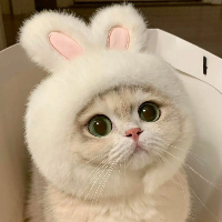 Евгений Сафронов